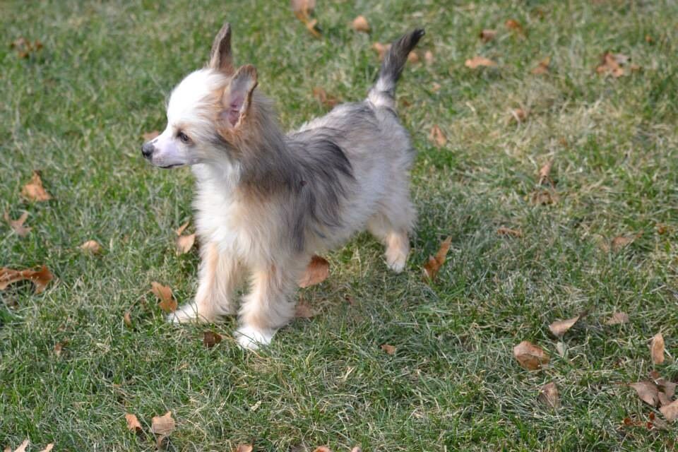 Famous mavens the one on cloud nine