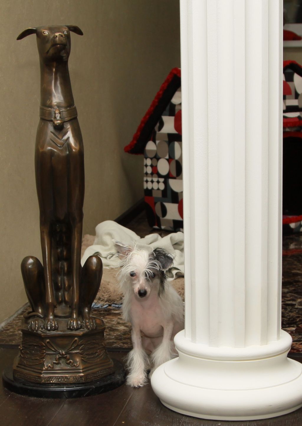 Premier Mari Suzanna