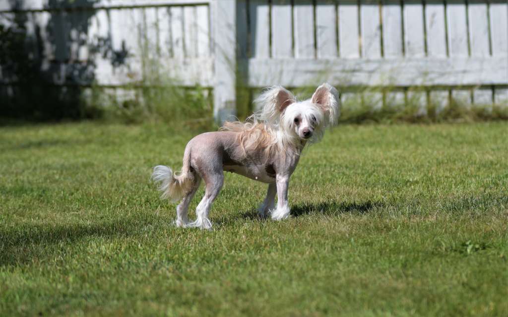 Pinky Twinky Y'all Be Flippin'