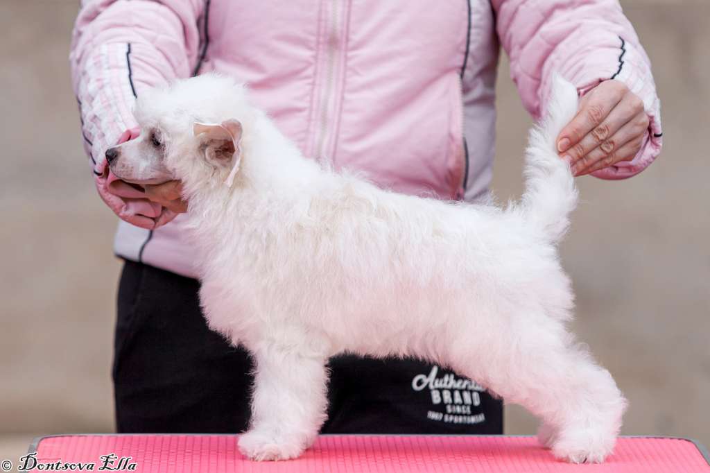 Mamina Radost iz Sozvezdiya Khana