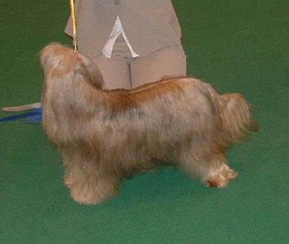 Kiristan Midnight Phantom