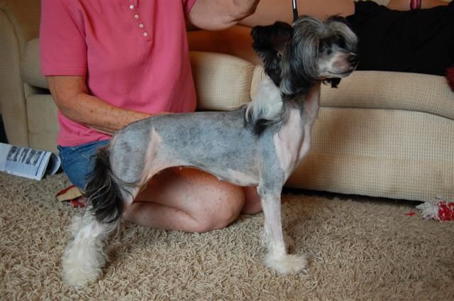 Kotickee Rainbow Connection