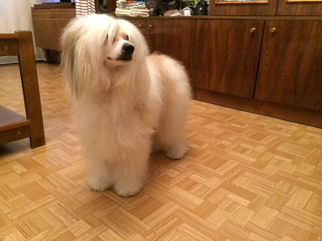 Olegro Katrin Riviera