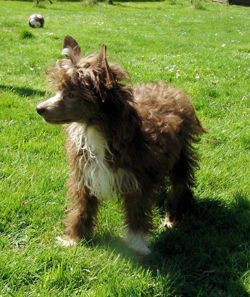 Angles hair like Arwen vom Elfental