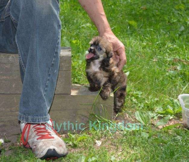 Mythic In Good Taste