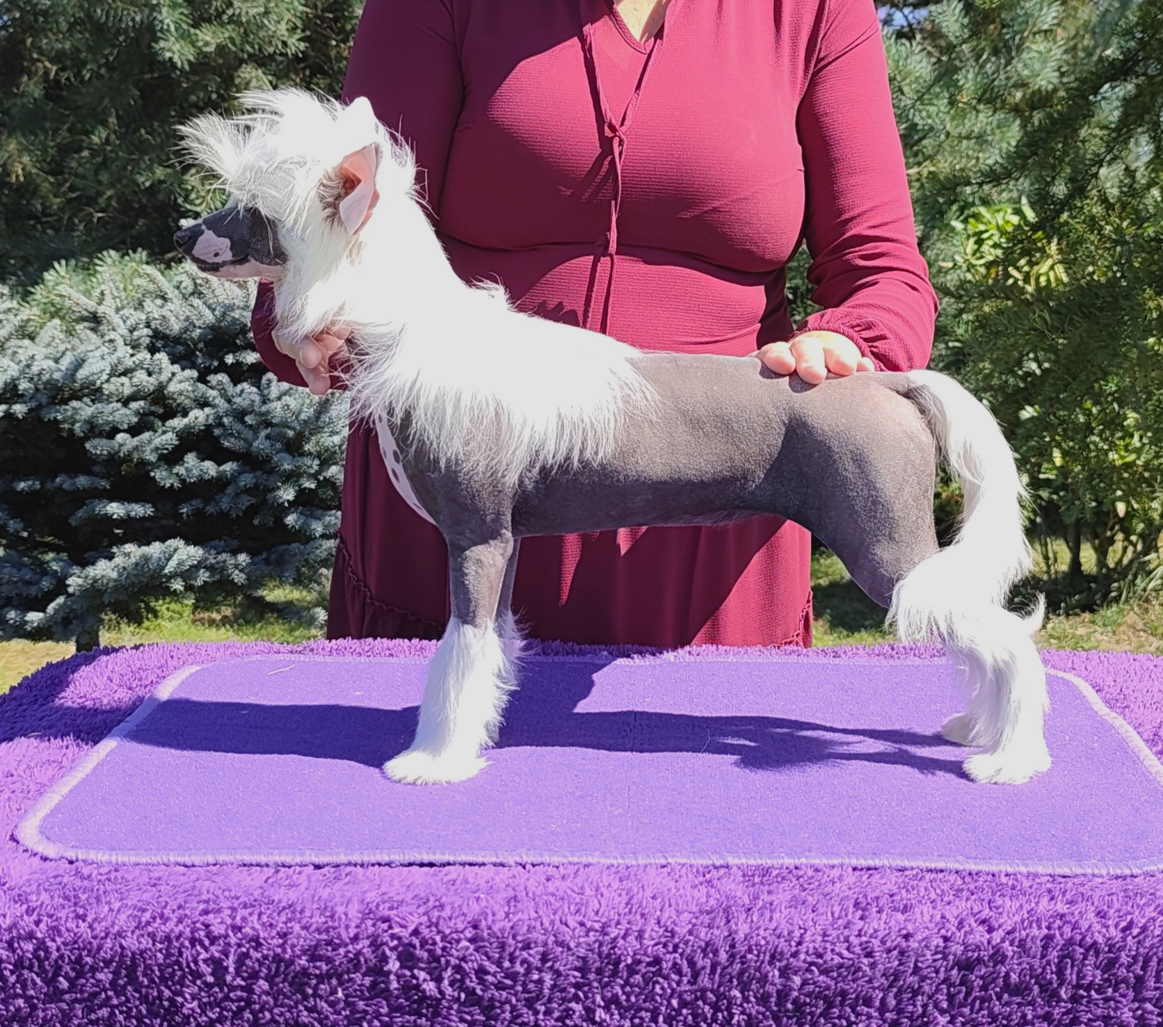 Veronique Crystal Ice 