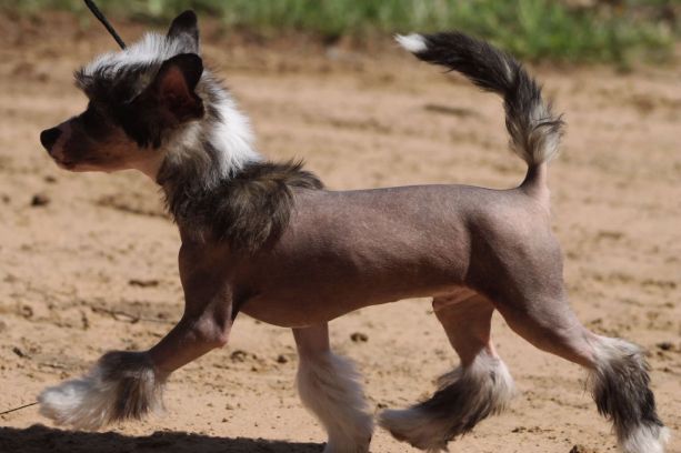 Hold Your Grand of Angel's Legacy