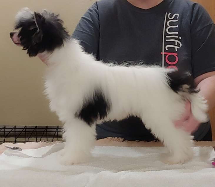 Winwood's Secret Weapon  @ BRK