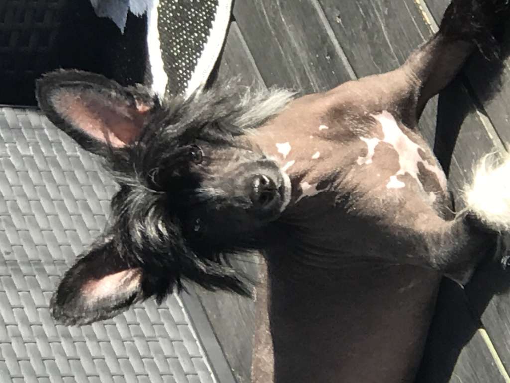 FutureLine Felicie Erika