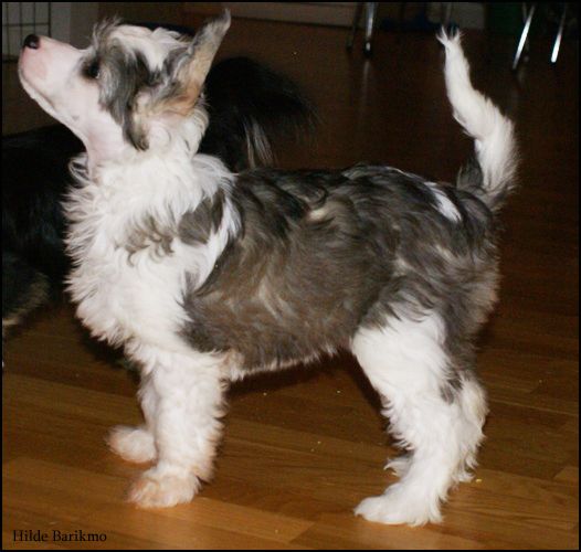 House Of Fun's Keep The Sun