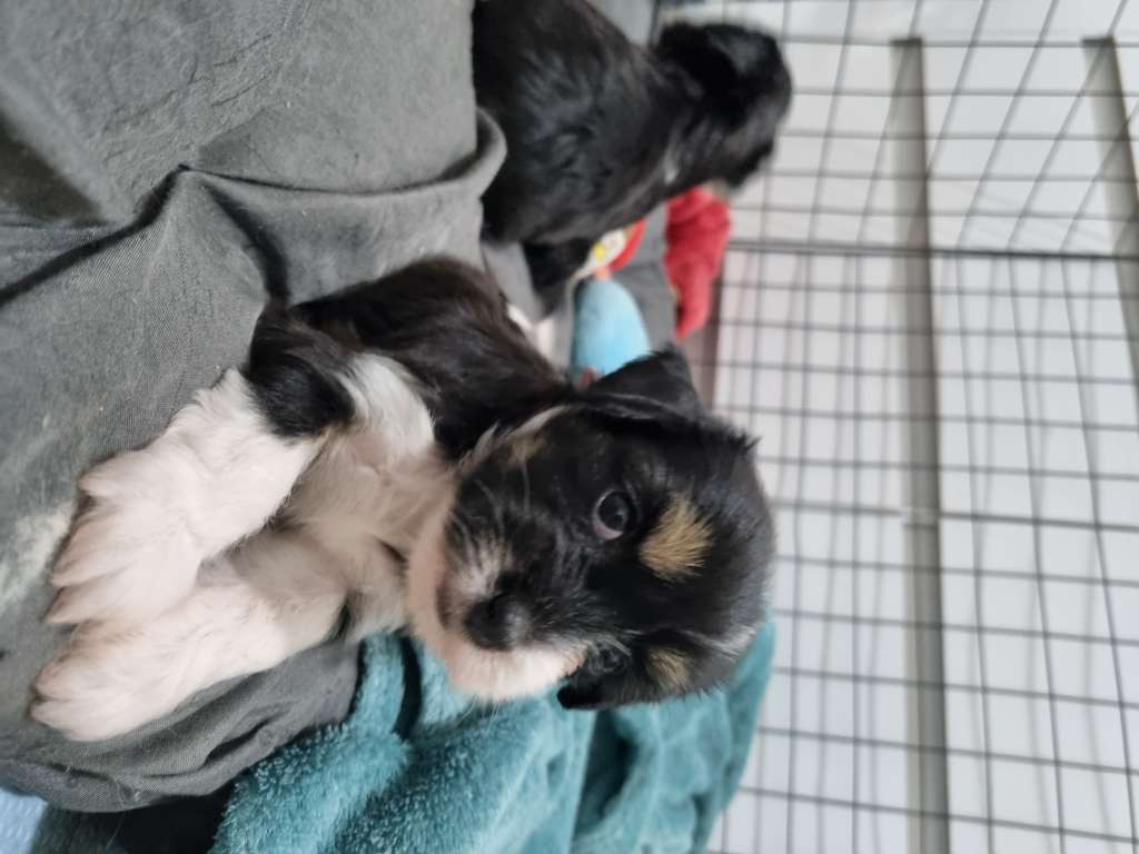 Quinta da Boa Crista Maria Bethania