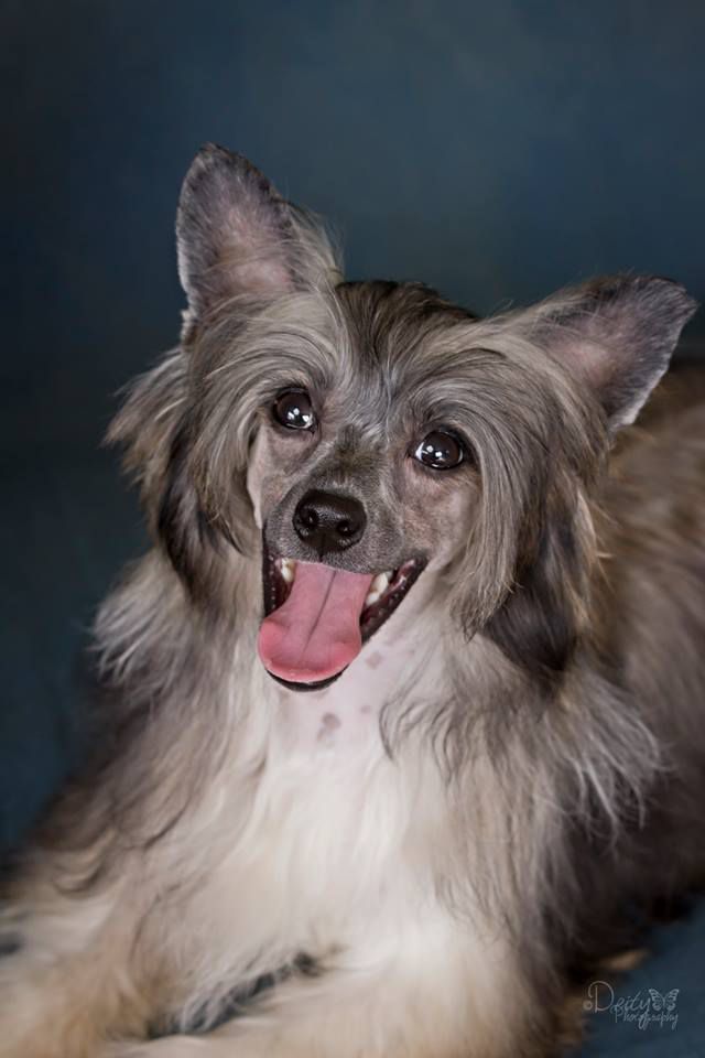 Kalypso's Colors of The Wind, CGC