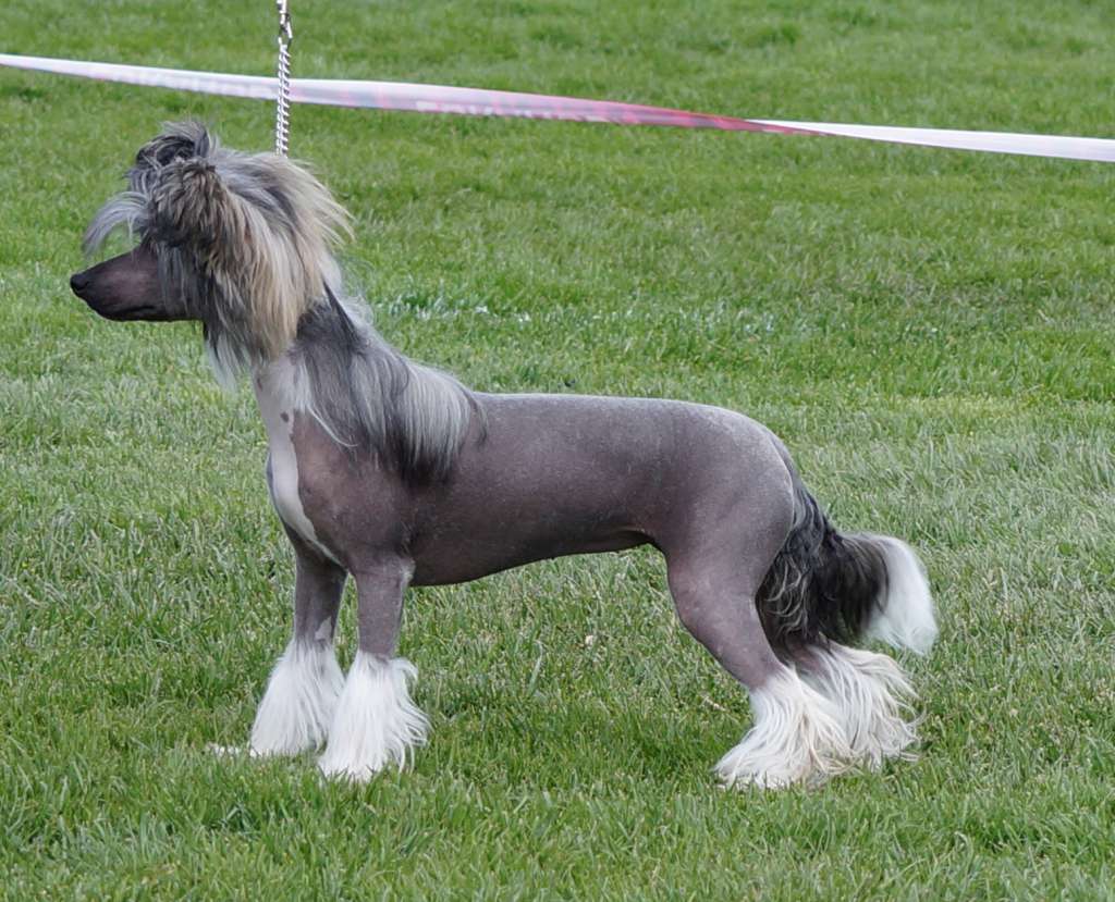 Blendverk's Follow My Boots