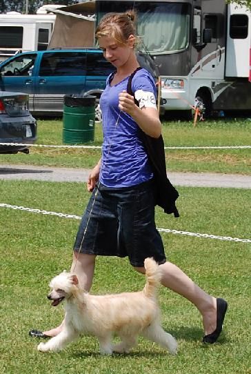 Crestyle Second To None