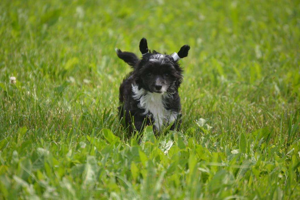 Ketrin Kristol Oliviya