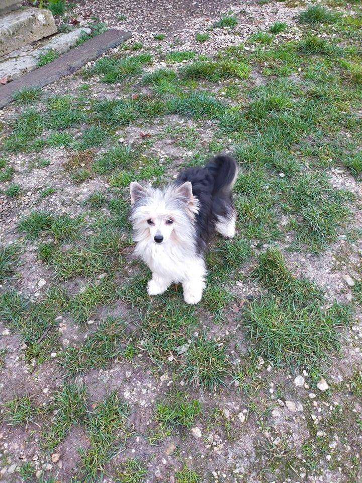 Shadow Of the day Of Pastime Paradise