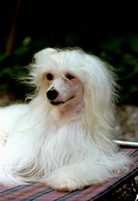 Florida Boy Fantasy Island