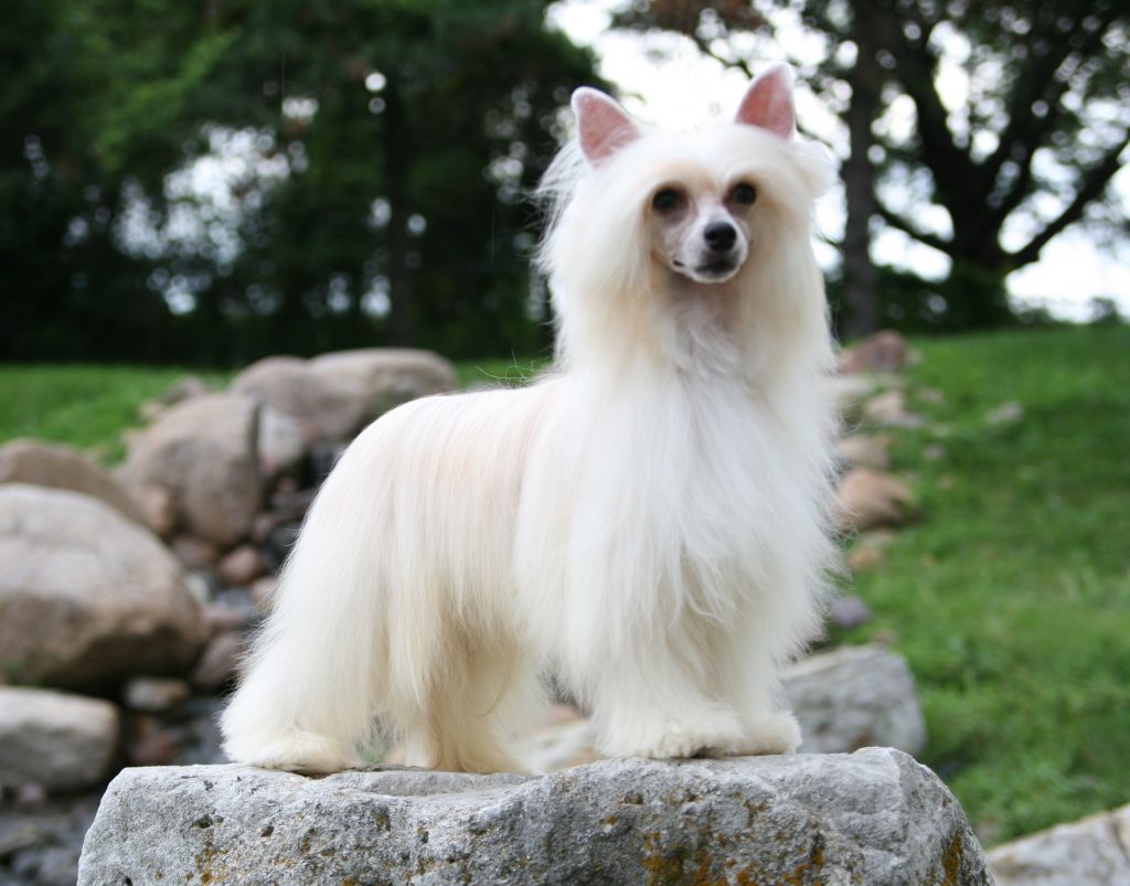 Delende Quigley Down Under