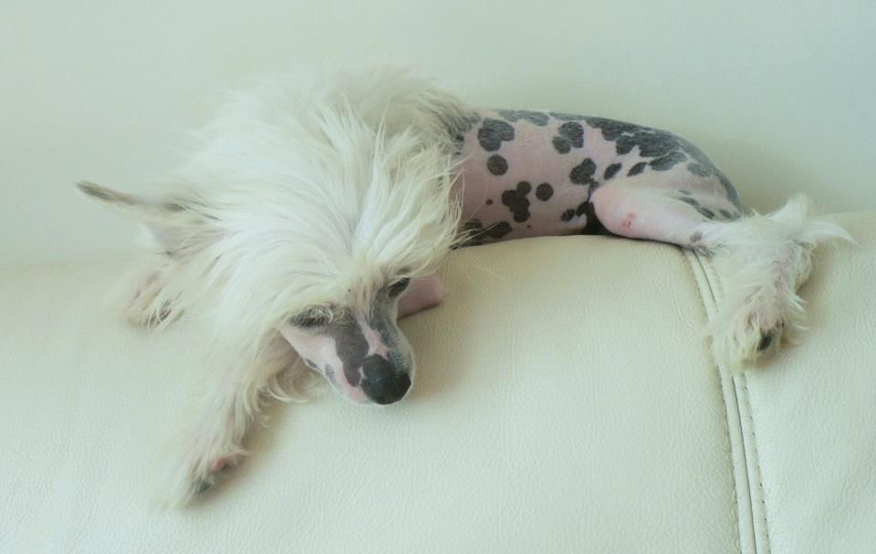 Picture