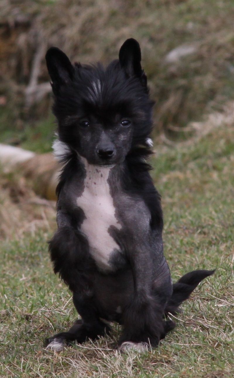 Aphrodité z Jasne hvezdy