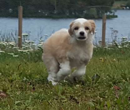 Andrakebyn's Emerald Empress