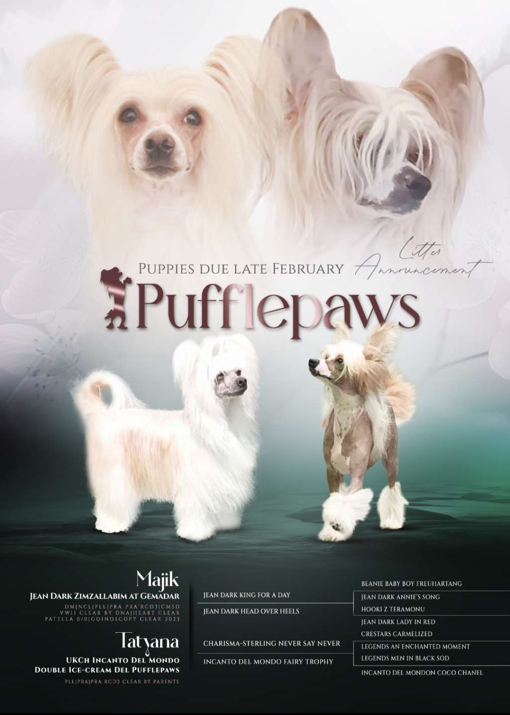 Jean Dark Zimzallabim at Gemadar