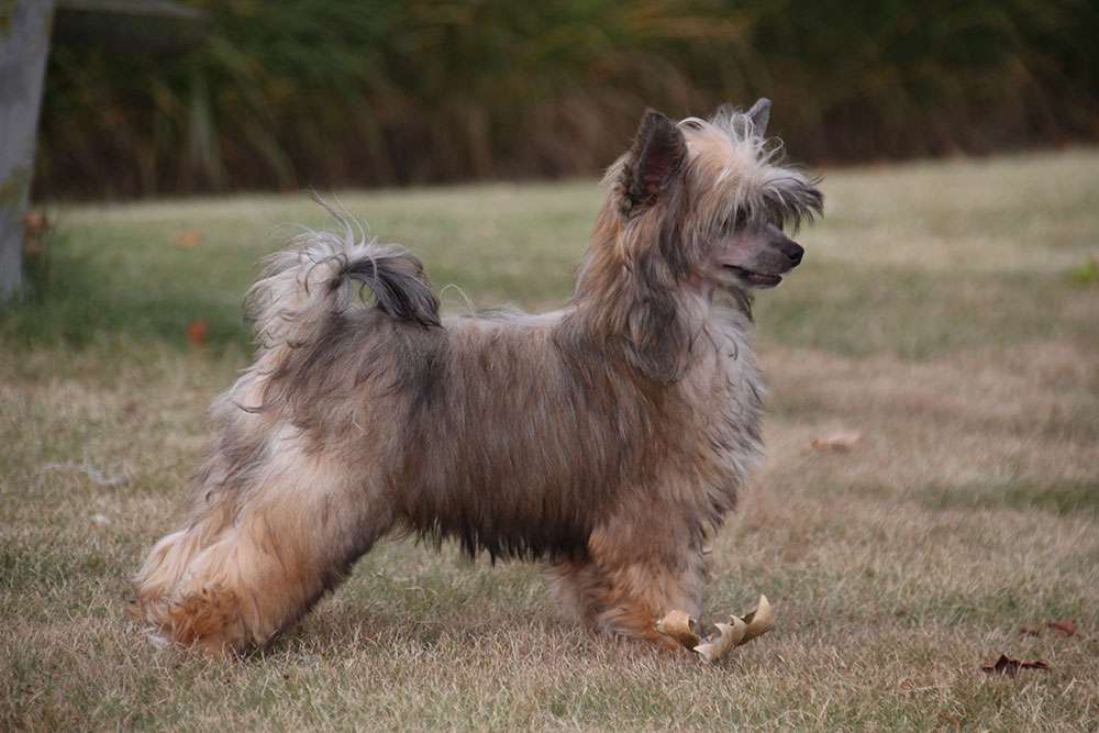 Reilly Eagan Diamond Place