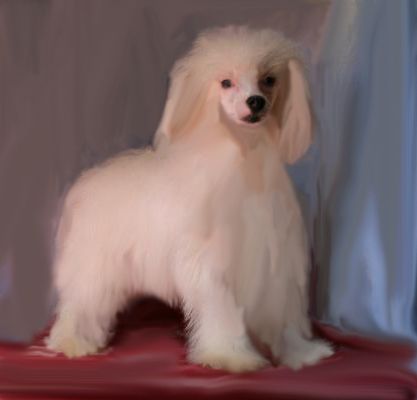 Mstical Blue Eyes White Dragon