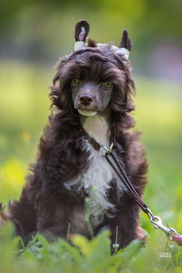 My Lucky Charm Zurbagan