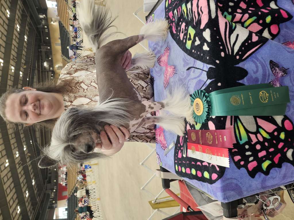 Fabulis Lily Rose Charmer