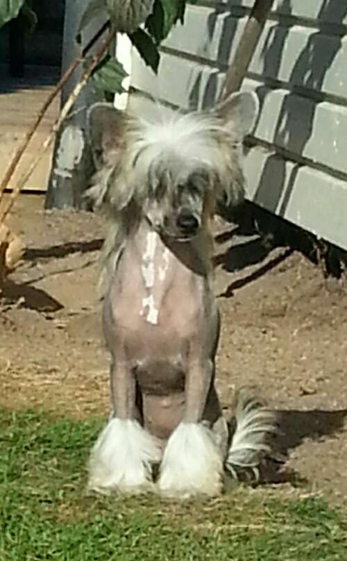 Twice as Nice Spill the Beans