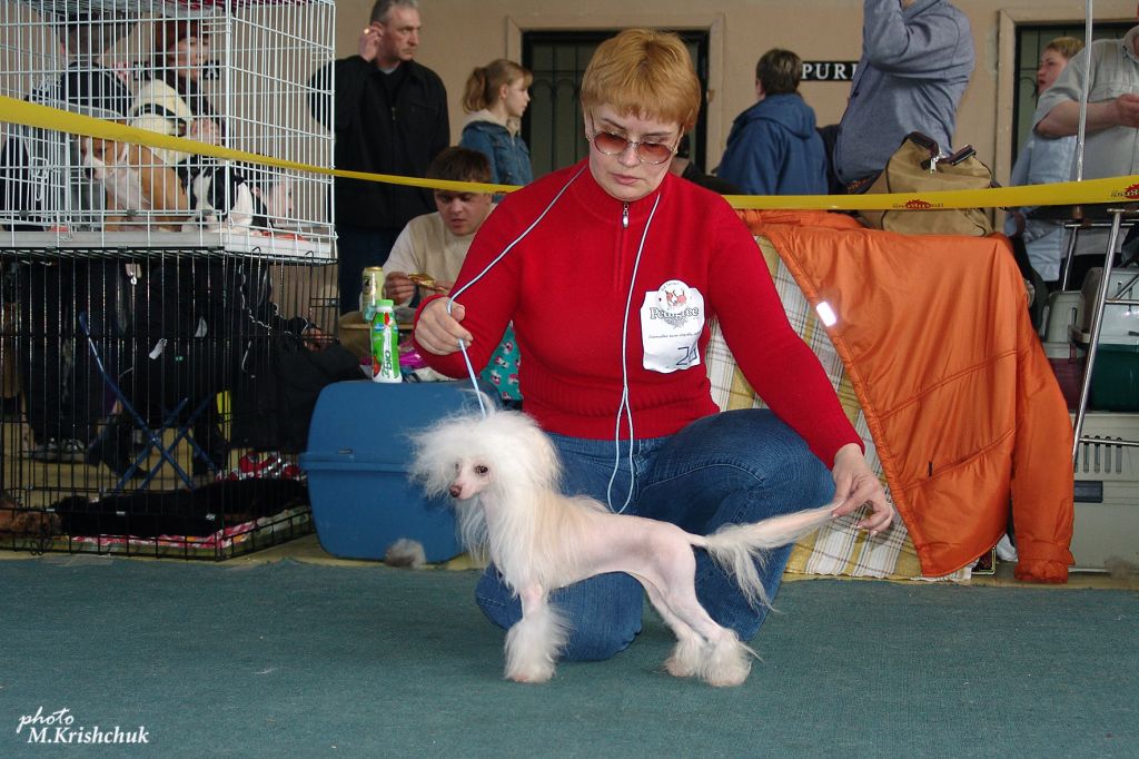Tamerlan Beshtau Revolucija dlja Shou Krokodail