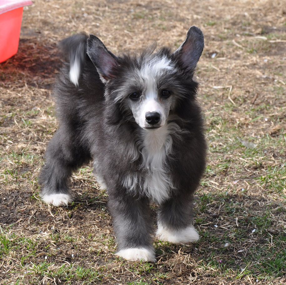 Goodwin Winning Smile