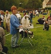 Trollmyren's Victor Virvelvind