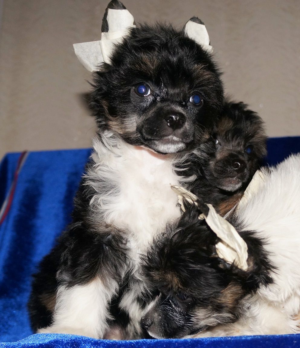 Marvi's-Stile N'Smash