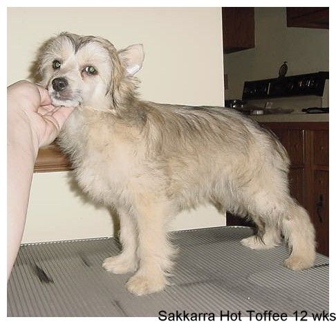 Favorite Picture