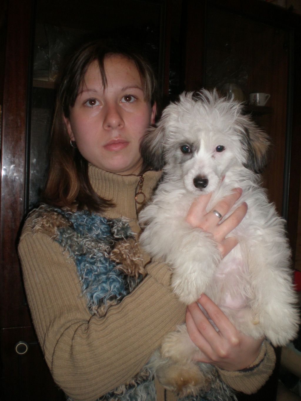 Picture