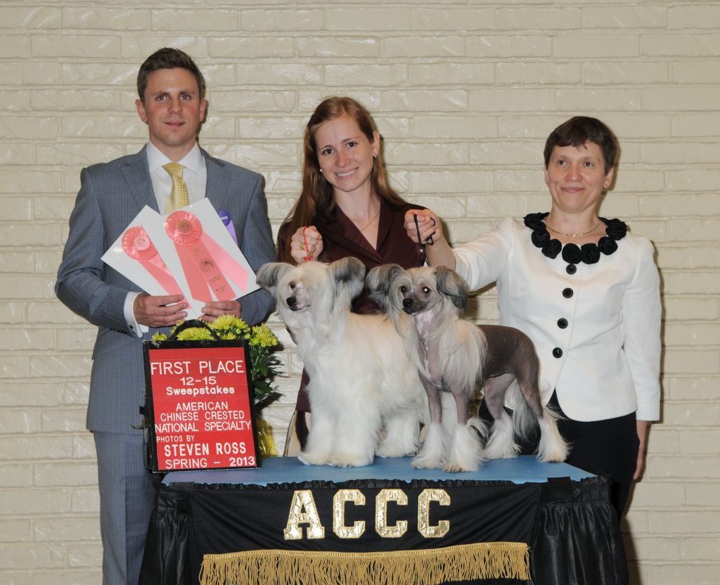 Golden Diamond Cresteds Corbelli