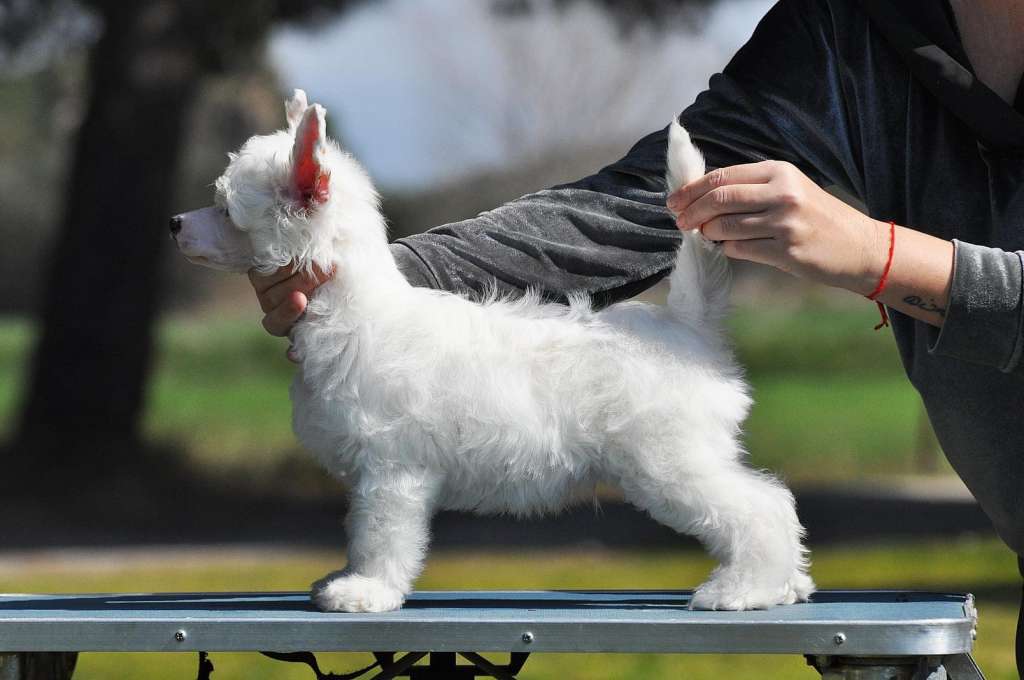 Victory's Laurel I Wanna Be Naked