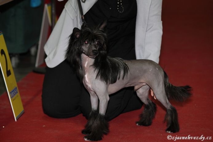 Yustin z Jasne hvezdy 