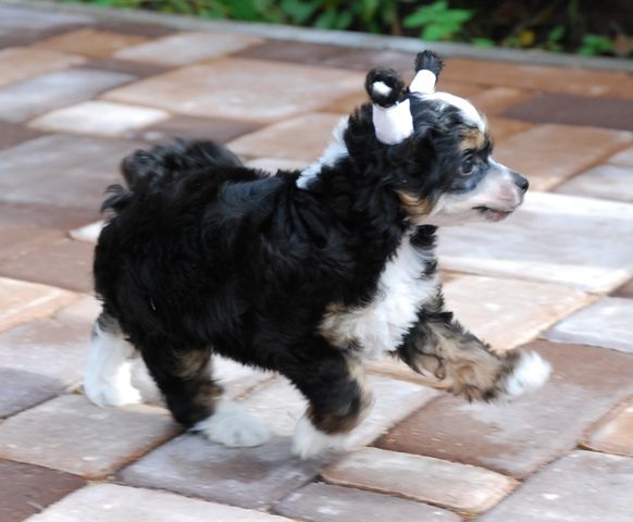 Picture