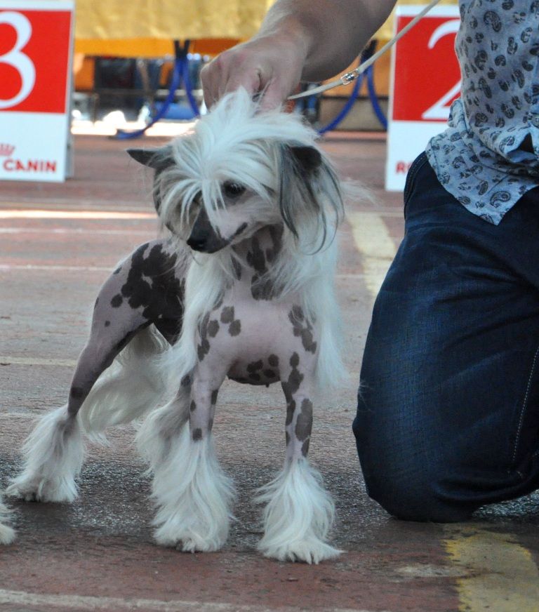 Bi-lav Plus Marmeladka