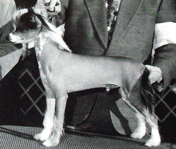 Cordova's Partly Cloudy