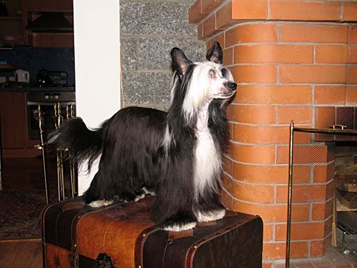 Picture