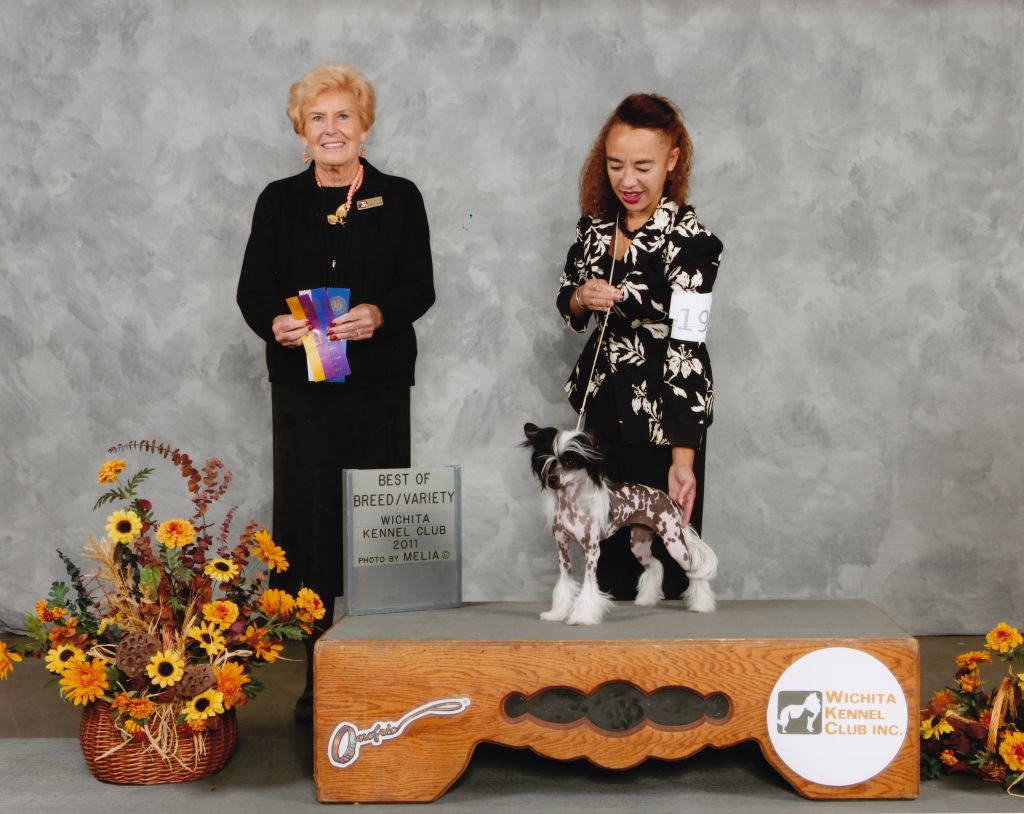 BCNU Dancing Down Bourbon Street