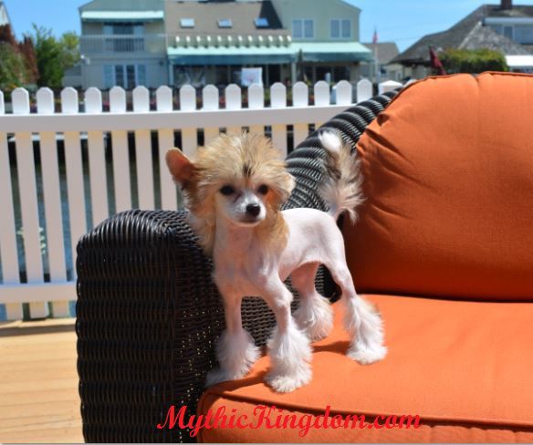 Mythic Tuned To Perfection