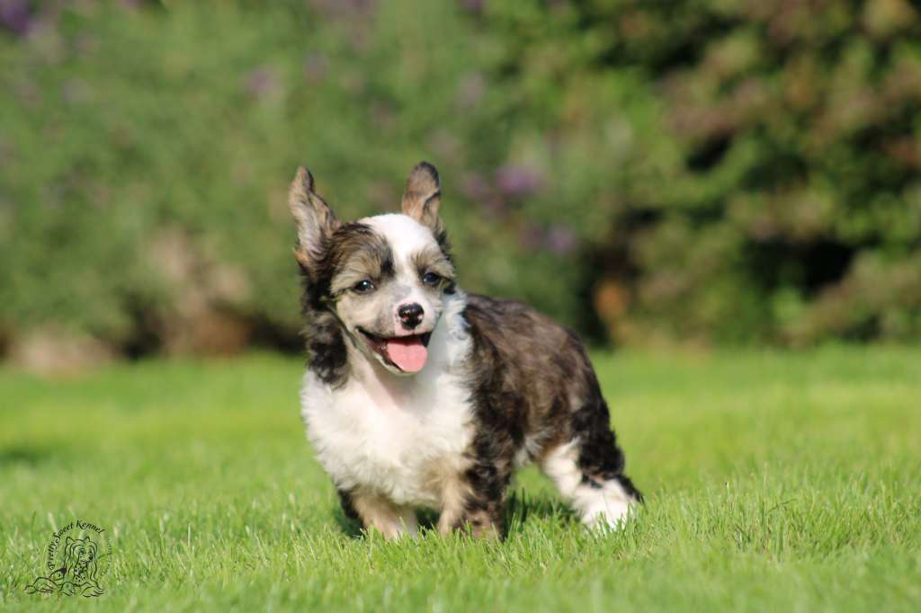 June Art Pretty Sweet