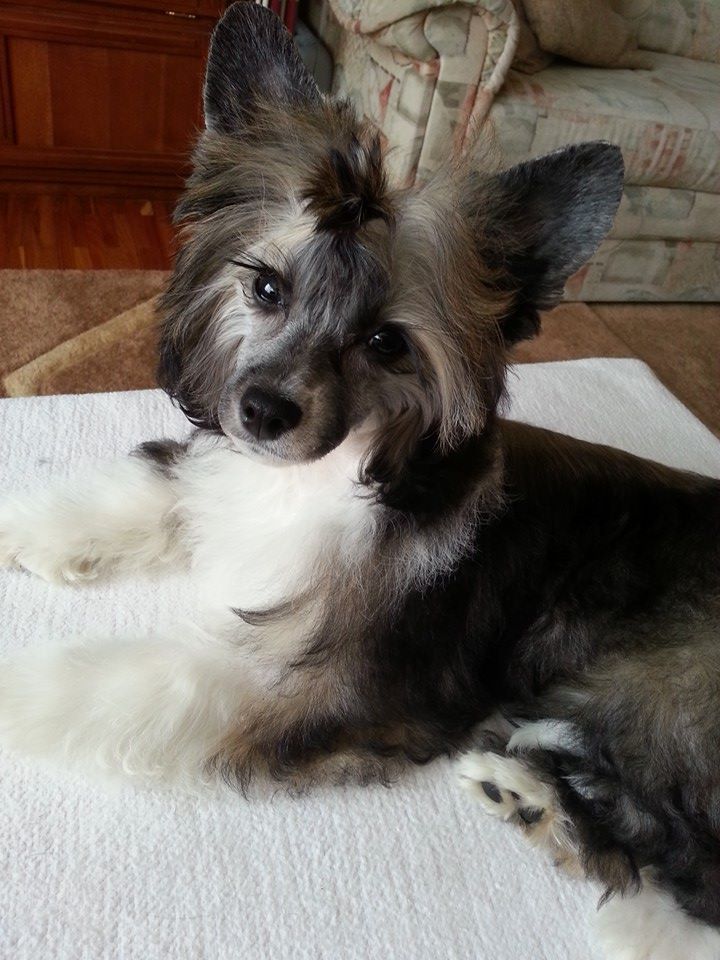 Fundoklia-völgyi Kaszanics Selly