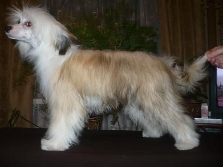 Yki Gordi´s Vishera