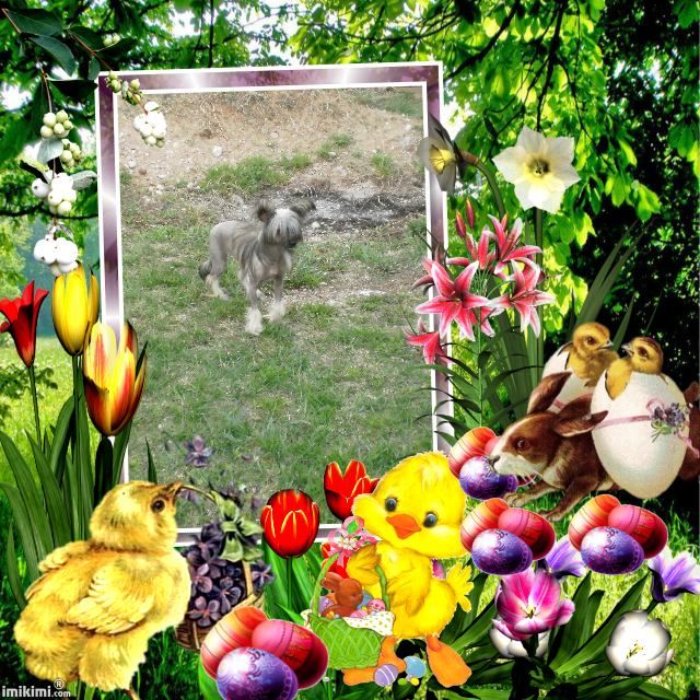 Picture